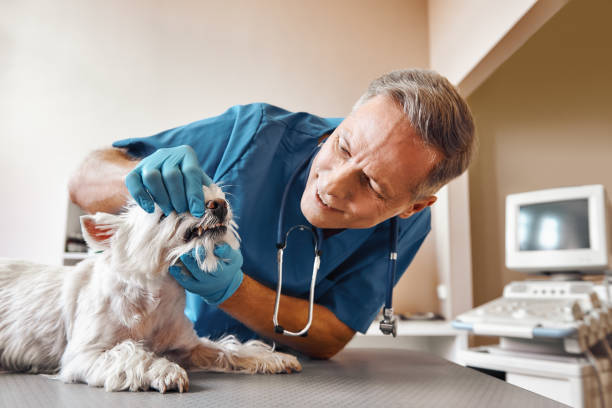 Best Pediatric Emergency Dentist in Luverne, AL